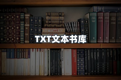 TXT文本书库